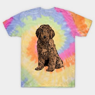 Aw a Goldendoodle T-Shirt